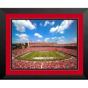  Replay Photos 212755 L 15 x 20 Sanford Stadium