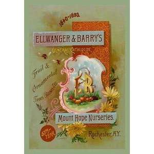   printed on 12 x 18 stock. Ellwanger and Barrys General Catalogue