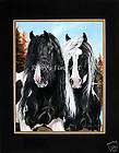   Print Matted Gypsy Vanner Horses by Roby Baer PSA Mane Attraction