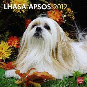  2012 Lhasa Apsos Calendar