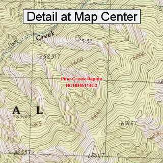  USGS Topographic Quadrangle Map   Pine Creek Rapids, Idaho 