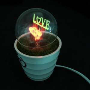  Romantic Potted Love Nightlight Bulb Flower Pot   Assorted 