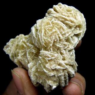 Gypsum Crystal Desert Rose Specimen gygx9ie1666  