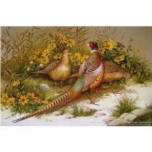  Roger Tory Peterson   Ring Necked Pheasants Open Edition 