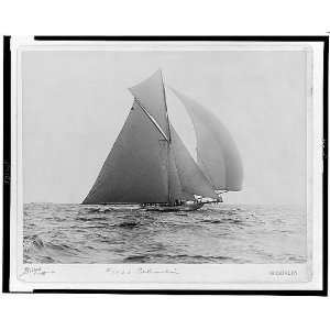   sail,September 15,c1899,Charles Bolles,photographer