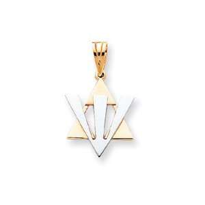  14k Two Tone Gold Fancy Star of David Shin Pendant 