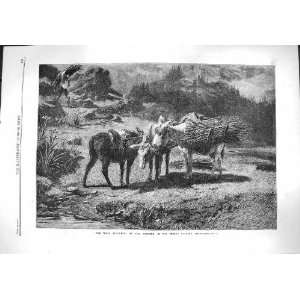  1861 THREE BROTHERS ROSA BONHEUR FINE ART DONKEYS