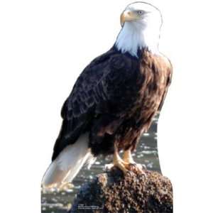  Eagle 24 x 15 Print Stand Up