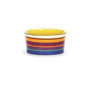  Ranbow Dog Dish