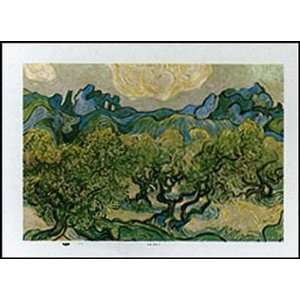  Vincent Van Gogh   Landscape With Olive Trees