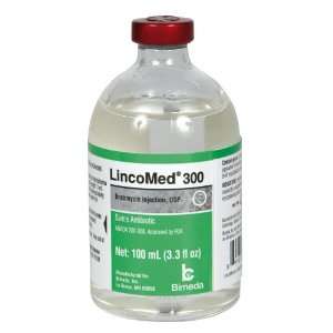  LINCOMYCIN INJ 300MG/100ML