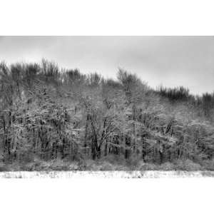  Grey Day, Limited Edition Photograph, Home Decor Artwork 