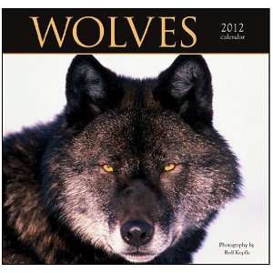    Wolves 2012 Wall Calendar By Wyman Publishing
