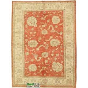  5 10 x 7 9 Ziegler Hand Knotted Oriental rug