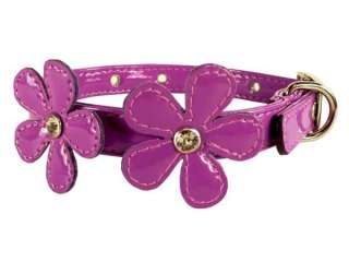 New Purple Double Flower Rhinestone Dog Collar in Purple S M L  
