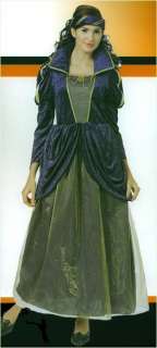 Costumes Renaissance Fair Maiden Costume Dress 2pc cM  