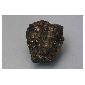 SciEd Individual Rock Specimens Metamorphic Rocks; Coal, anthracite 