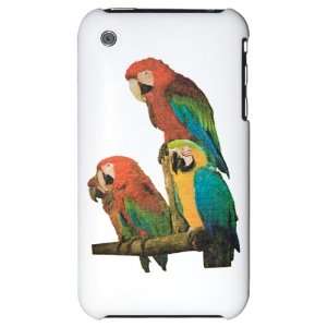  iPhone 3G Hard Case Family of Parrots 