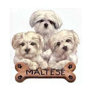  Maltese Shirts