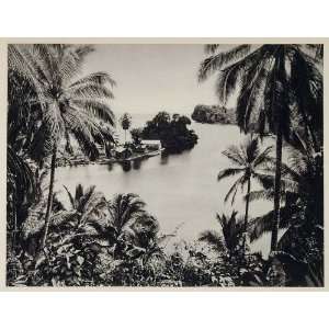  1931 Jamaica Jamaika Palm Trees Harbor Photogravure 