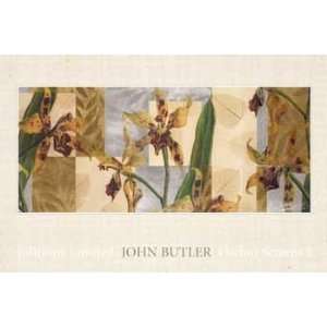 John Butler   Orchid Screens I