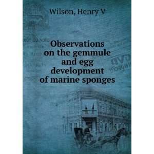   gemmule and egg development of marine sponges Henry V Wilson Books