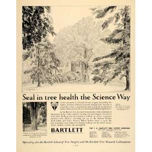 1931 Ad F A Bartlett Tree Expert Woddley Washington DC   Original 
