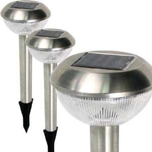  Pulp Top Stainless Steel Solar Lights Set of 2
