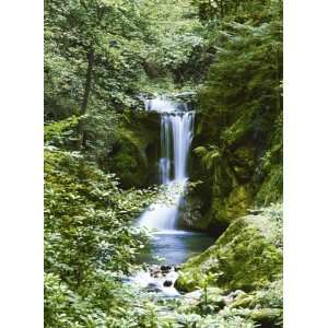  Waterfall in Spring Wall Mural