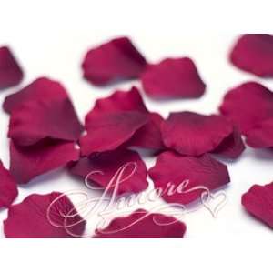  4000 Silk Rose Petals Burgundy 