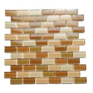   Mosaic Tile, 1 by 2 Inch Tile on a 12 by 12 Inch Mosaic Mesh, Coral