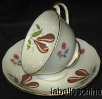 Adderley Pear Teacup and Saucer HP Brown Pears  