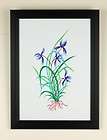 Framed Botanical Pressed Flower~Seed Art~Handmade Paper  