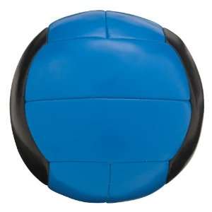   Champion Barbell 10 lb Leather Medicine Ball   Blue