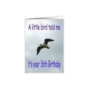  Happy 36th Birthday Flying Seagull bird Card Toys & Games