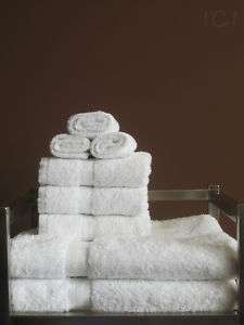 NEW 25x54 Luxury BATH TOWEL Ct/Ply R/S Hospitality 3DZ  