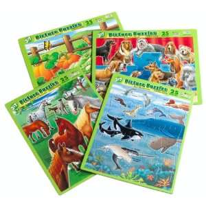  Picture Puzzles   4 Pack Toys & Games