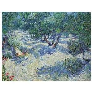  Olive Orchard 1889, Fine Art Canvas Transfer by Vincent 