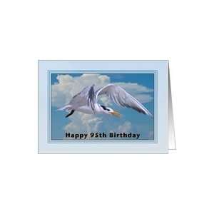  Happy Birthday, 95th, Royal Tern Bird Card Toys & Games