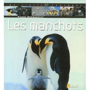  les manchots (9782844163936) Pierre Darmangeat Books
