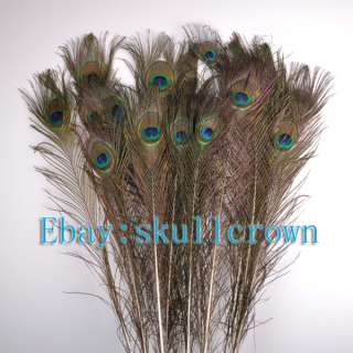 50pcs Real Natural Peacock Tail Feather 32.2 inches High Quality 