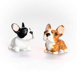   Hand Crafted Salt & Pepper Shakers   White & Tiger