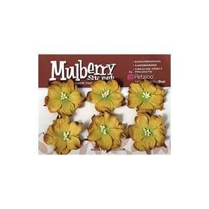  Mulberry Street Wild Roses Gold