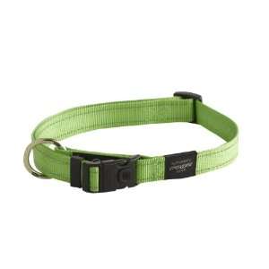  Rogz Reflective Fan Large Belt Dog Collar, Lime Pet 