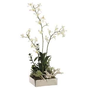    Orchid Seashell & Succulent Faux Flower Arrangement