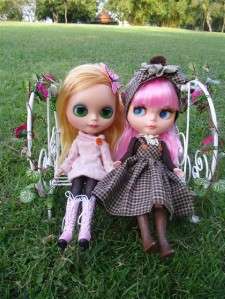 Swing Set with flora Furniture Dollhouse Blythe Barbie  