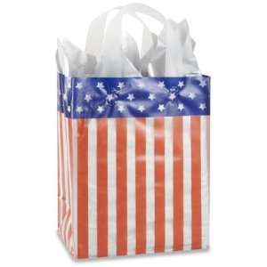  8 x 5 x 10 American Flag Cub Frosty Shoppers Health 