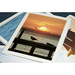   Cat Art Seascape Collection Note Cards (Set of 4)  