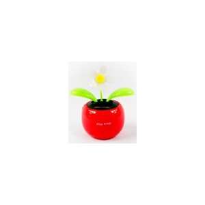   Dancing Solar Flower, Random Colors (Red, Pink, Green, Yellow) Baby