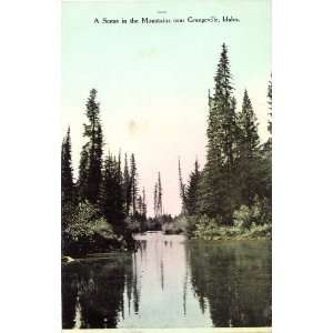 1909 Vintage Postcard A Scene in the Mountains near Grangeville Idaho
